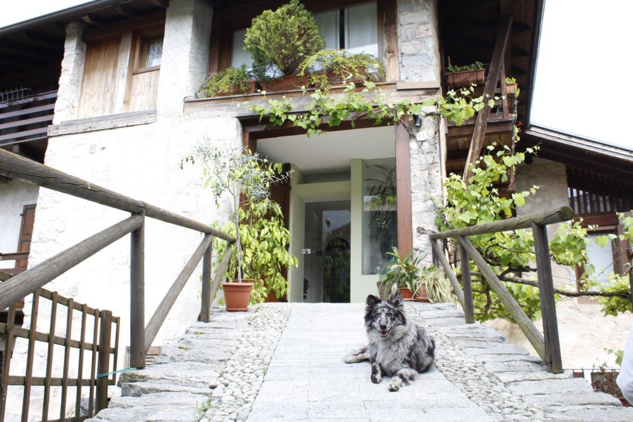 B&B Casa Gori Madice Exteriör bild
